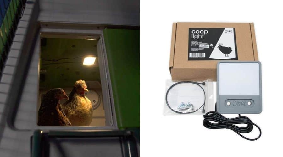 Image of the Omlet coop light