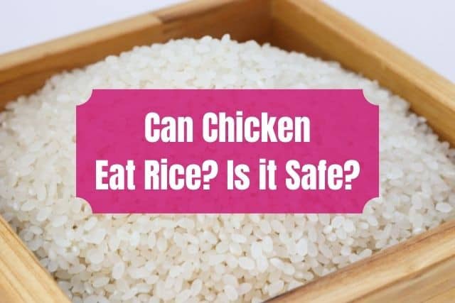 Box of white rice