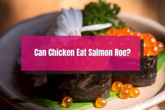 Salmon roe dish