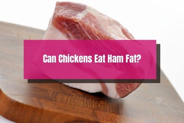 Raw ham fat