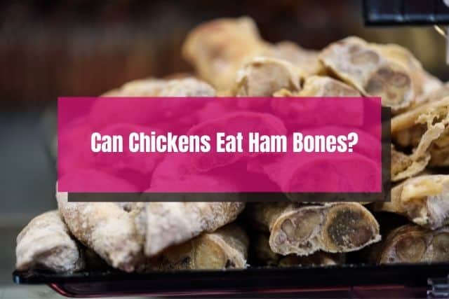 Ham bones