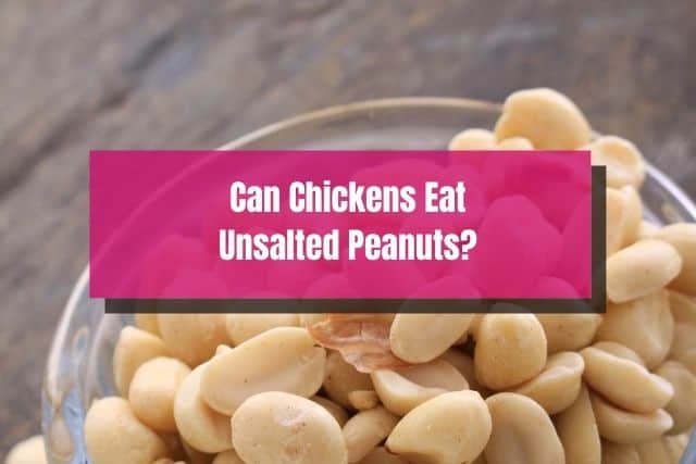 Unsalted peanuts in glass bowl