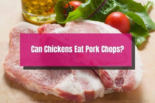 Uncooked pork chops
