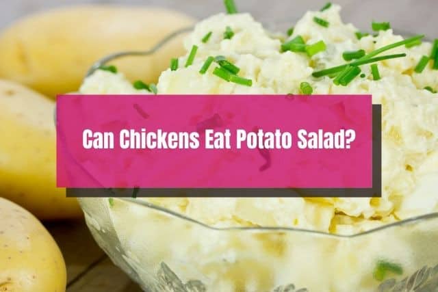 Glass bowl of potato salad