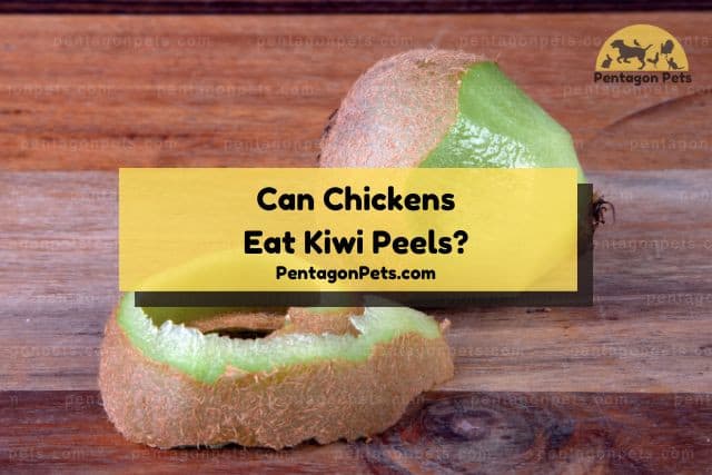 Kiwi peels