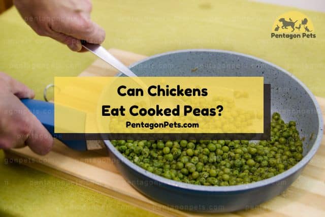 Cooking peas in a skillet
