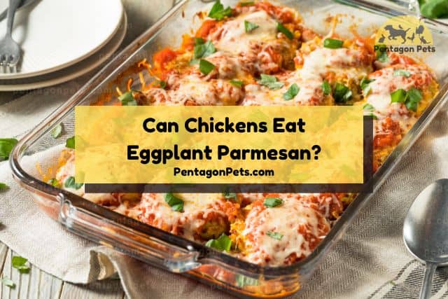 Eggplant parmesan in glass dish