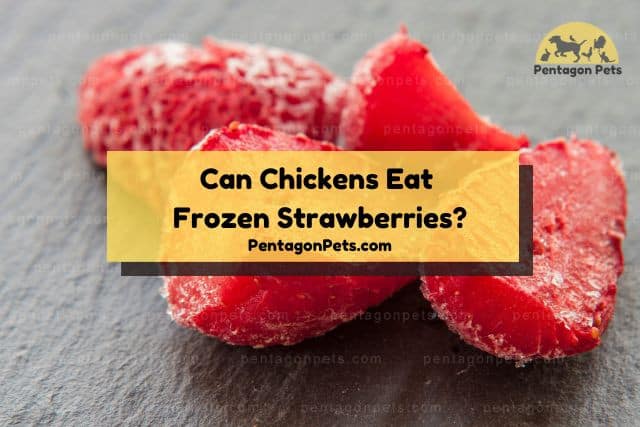 Cut frozen strawberry