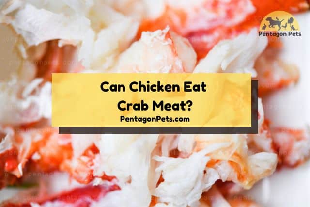 Crab meat