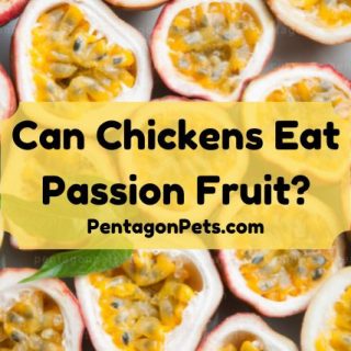 A platter of cut passion fruit