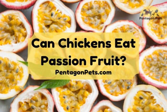 A platter of cut passion fruit